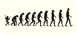 Evolutionsgrafik vom Affen zum Menschen