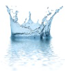 Wasserkrone